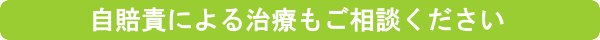 自賠責も利用できます
